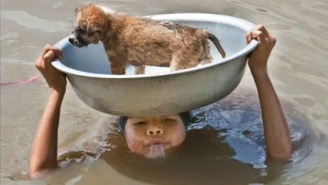 صور ملهمة فجرت الدموع من حول العالم عند رؤيتها