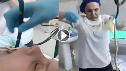 حادثة غريبة.. سيدة تبتلع أفعى عملاقة أثناء نومها