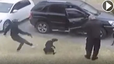 بالفيديو: كلب شجاع يتلقى رصاصة لإنقاذ مالكه أثناء سطو مسلح!