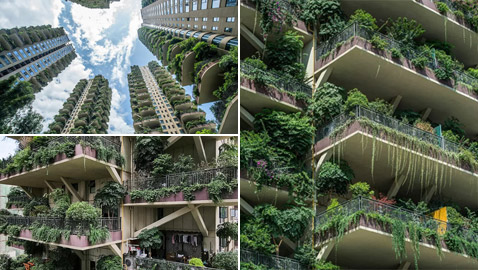 الغابات المعلقة.. ناطحات سحاب أسيرة النباتات والحشرات بشكل مذهل