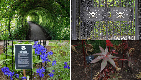 صور: هل تملك الجرأة للدخول إلى هذه الحديقة السامة الأخطر في العالم؟