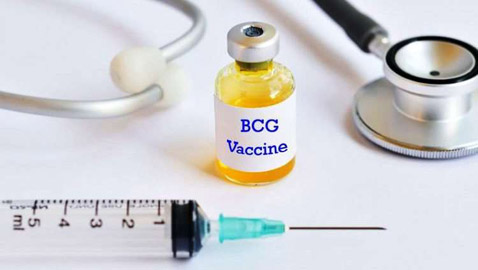 فيروس كورونا: هل ينقذ لقاح طُّور منذ 100 عام البشرية؟