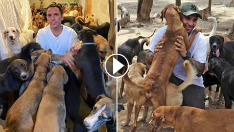 خوفا من الإعصار.. أب فتح بيته لإيواء 300 كلب واحتضنهم بغرف أبنائه