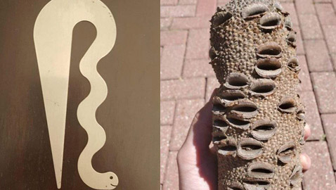 أغرب الأشياء التي عثر عليها البشر