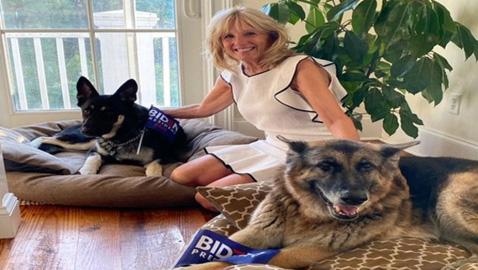 انتخاب بايدن يعيد للبيت الأبيض حيوانا أليفا غاب عنه لسنوات 