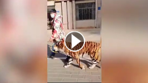 واقعة غريبة... رجل يحول كلبه إلى 