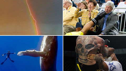 إليكم 10 صور التقطت في توقيت مثالي مع قصة كل واحدة منها!