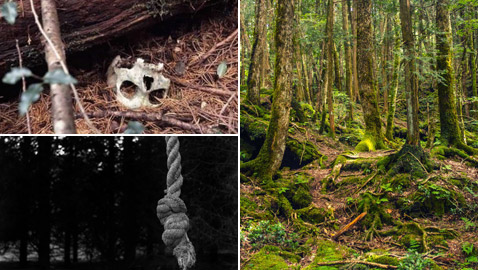 إليكم أكثر 10 حقائق غريبة ومزعجة ومؤرقة عن غابة الانتحار في اليابان!