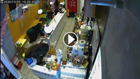 بالفيديو.. خنزير هائج يروع متجرا والشرطة 