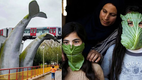 مجموعة مختارة من أبرز الصور في عام 2020