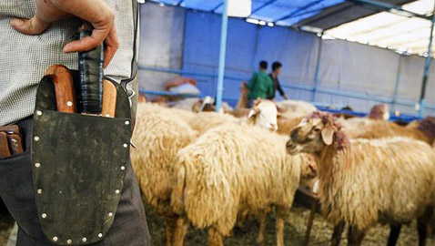 محكمة العدل الأوروبية تجيز حظر ذبح الحيوانات طبقاً للشريعة الإسلامية واليهودية 