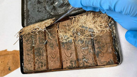 اكتشاف شوكولاتة عمرها 120 عاما.. وتناولها ممكن! صور