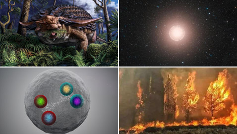 تعرفوا إلى أهم 10 إنجازات علمية في عام 2020