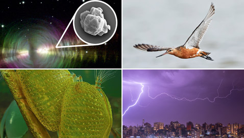 صور: إليكم 10 سجلات واكتشافات علمية قياسية مذهلة شهدها عام 2020