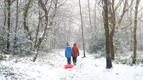 شتاء بريطانيا ببرده وثلجه في صور
