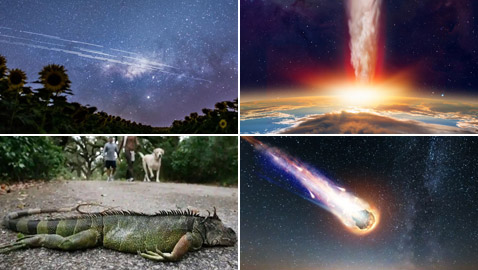 تعرفوا إلى أغرب الأشياء المثيرة للاهتمام التي سقطت من السماء