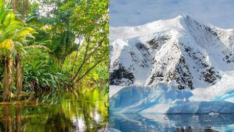 وحش المعبد السوري.. وأغرب الأشياء التي شكلت لغزا للعلماء