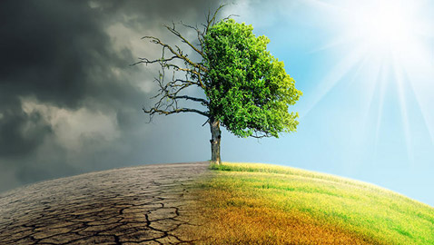 تغير المناخ.. أكبر المخاطر التي تهدد الطبيعة!