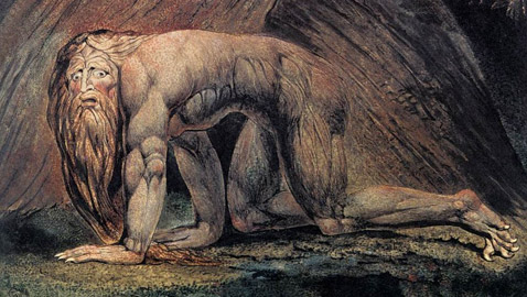 تعرفوا على البانثروبيا الاضطراب النفسي الذي يعتقد المصاب به أنه بقرة!