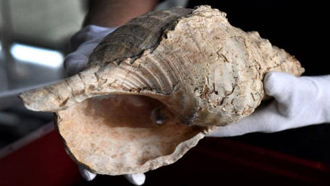 اكتشاف فريد.. العثور على آلة موسيقية قديمة عمرها 18 ألف عام