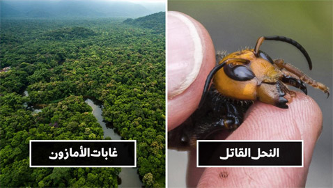 تعرفوا إلى 10 أشياء تعتقد أنها طبيعية ولكنها في الحقيقة من صنع الإنسان