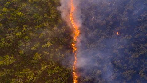 جائزة صورة الحياة البرية لعام 2020.. من فاز بها؟