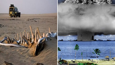 حيوانات وأسماك وإشعاعات نووية.. إليكم أخطر 5 شواطئ حول العالم