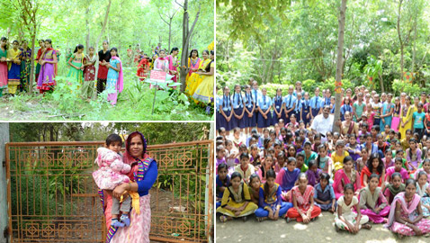 تعرفوا على القرية الهندية التي يزرع سكانها 111 شجرة مع مولد كل فتاة