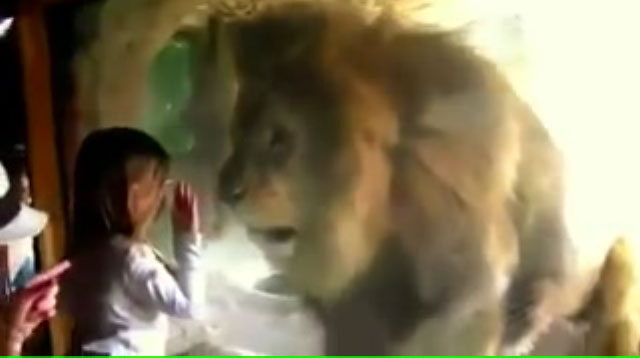 ���� ����� ���. ���� ���� ���