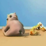 ���� ��� �� ����